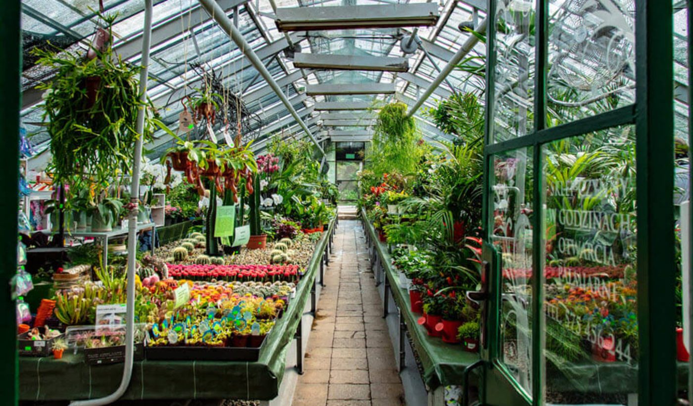 MS modules for greenhouse and mushroom humidification